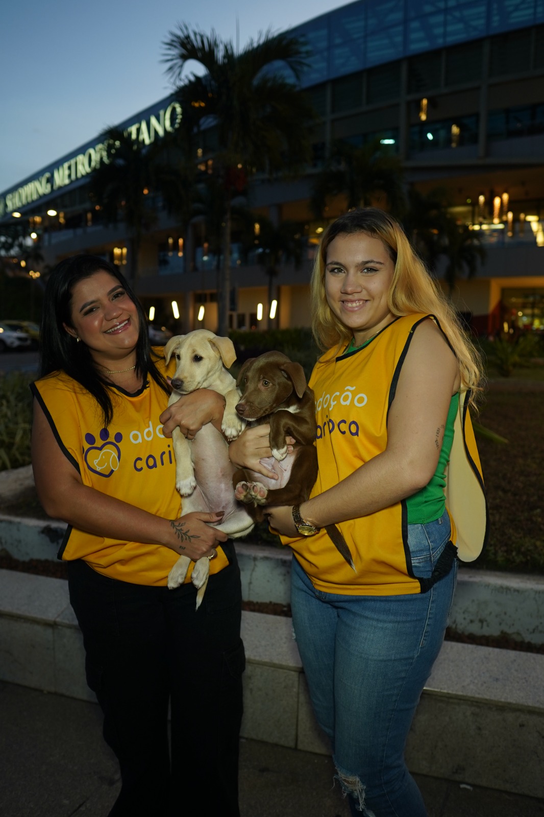 Shopping Metropolitano Barra realiza Feira de Adoção Pet neste sábado